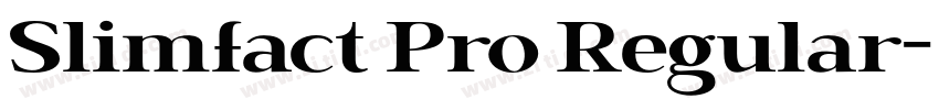 Slimfact Pro Regular字体转换